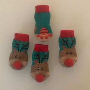 Chihuahua Christmas socks. Not kidding. Dog Sox.